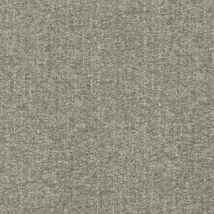 Ventura Shale 412525 by PKL Studio Fabric 100% polyester India 51000 Horizontal: n/a and Vertical: n/a 54 - Fabric Carolina -