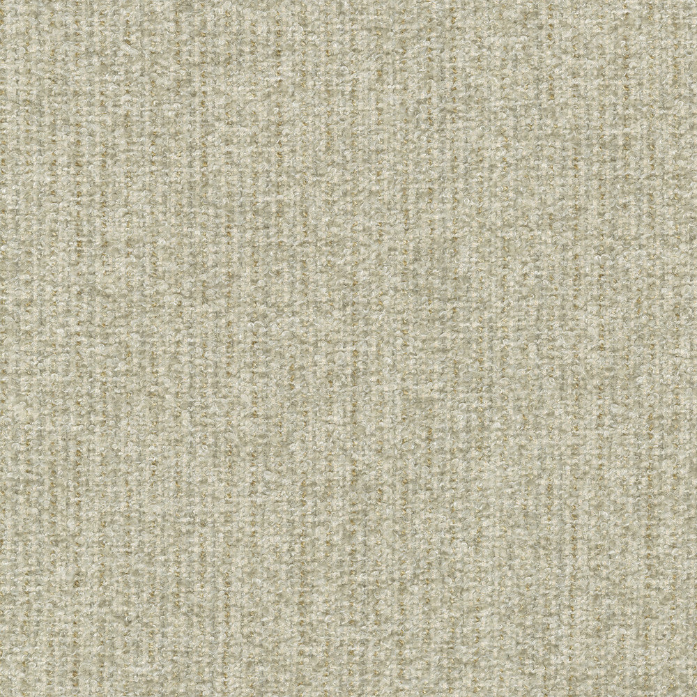 Ventura Papyrus 412526 by PKL Studio Fabric 100% polyester India 51000 Horizontal: n/a and Vertical: n/a 54 - Fabric Carolina -