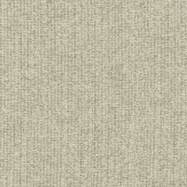 Ventura Papyrus 412526 by PKL Studio Fabric 100% polyester India 51000 Horizontal: n/a and Vertical: n/a 54 - Fabric Carolina -