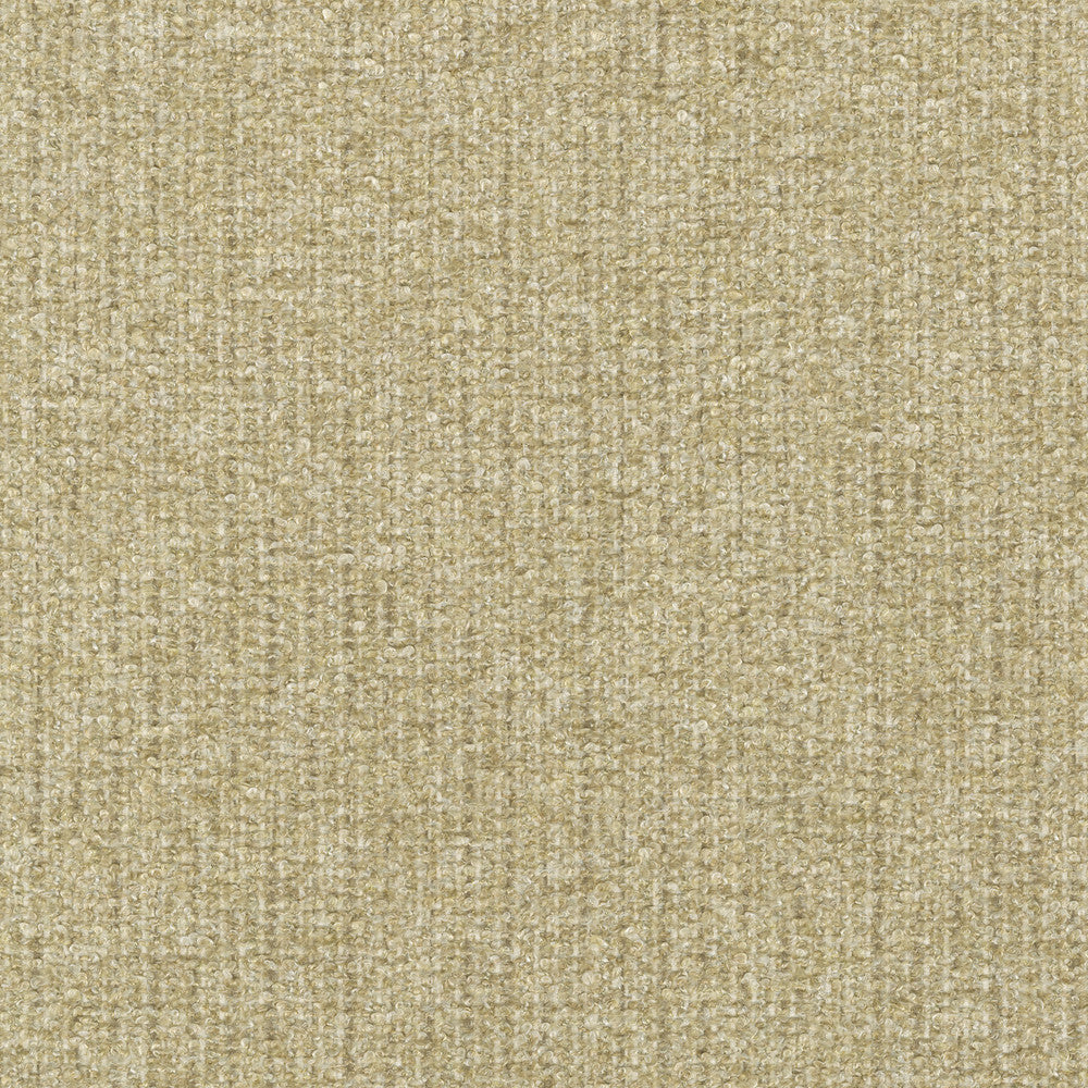 Ventura Oat 412527 by PKL Studio Fabric 100% polyester India 51000 Horizontal: n/a and Vertical: n/a 54 - Fabric Carolina -