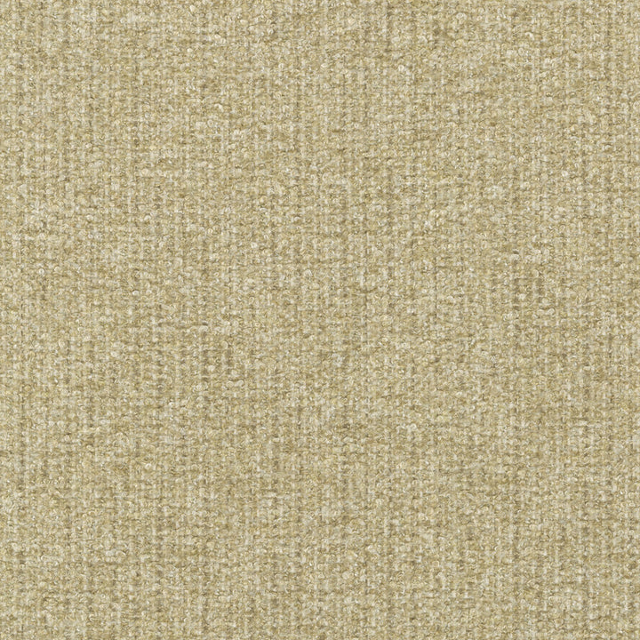 Ventura Oat 412527 by PKL Studio Fabric 100% polyester India 51000 Horizontal: n/a and Vertical: n/a 54 - Fabric Carolina -