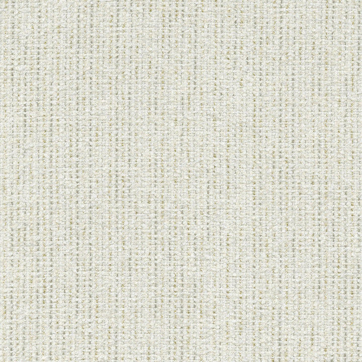 Ventura Winter 412528 by PKL Studio Fabric 100% polyester India 51000 Horizontal: n/a and Vertical: n/a 54 - Fabric Carolina -