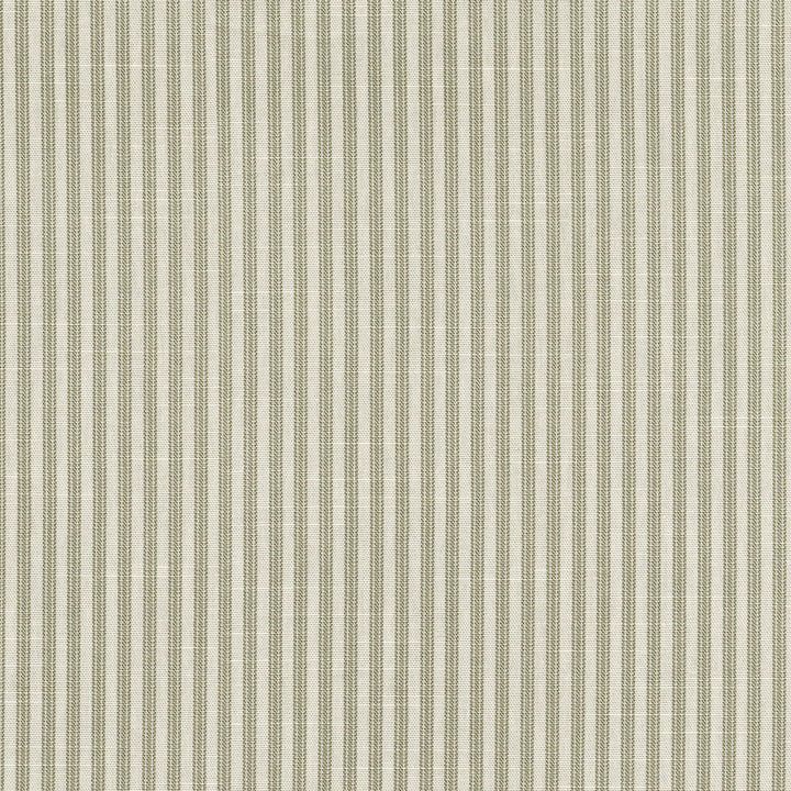 Everyday Ticking Shadow 412594 by PKL Studio Designer Fabric 100% cotton Pakistan 51000 Horizontal: 2.4 and Vertical: 0.1 54 - Swanky Fabrics -