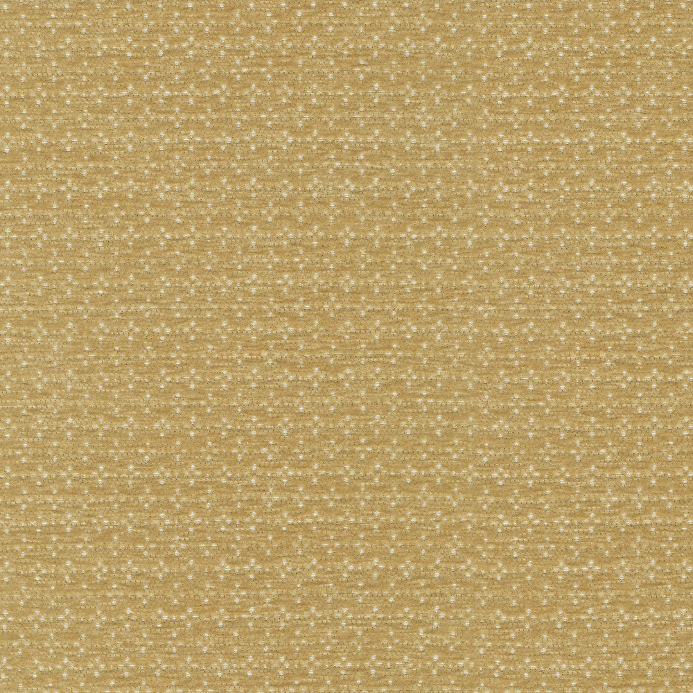 Elara Oro 412621 by PKL Studio Fabric 100% polyester China 24000 Horizontal: 0.5 and Vertical: 0.88 54/55 - Fabric Carolina -