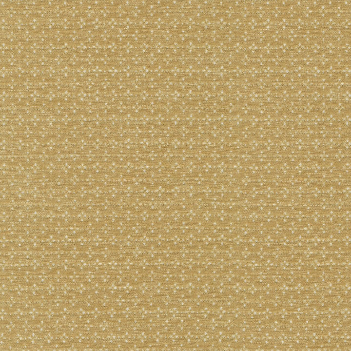 Elara Oro 412621 by PKL Studio Fabric 100% polyester China 24000 Horizontal: 0.5 and Vertical: 0.88 54/55 - Fabric Carolina -