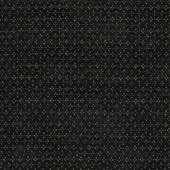 Elara Ebony 412624 by PKL Studio Fabric 100% polyester China 24000 Horizontal: 0.5 and Vertical: 0.88 54/55 - Fabric Carolina -