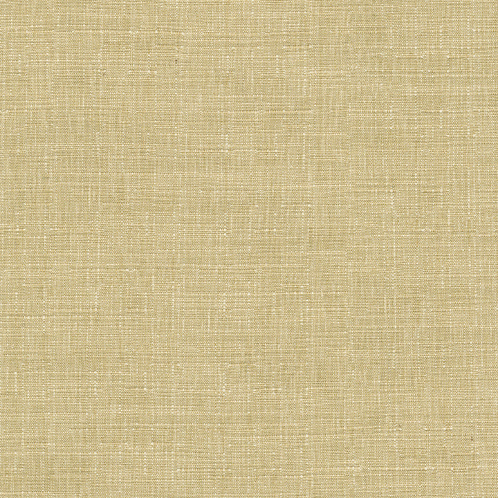Avalon Wheat 412854 by PKL Studio Designer Fabric 74% cotton, 26% polyester India 51000 Horizontal: 0 and Vertical: 0 54 - Swanky Fabrics -