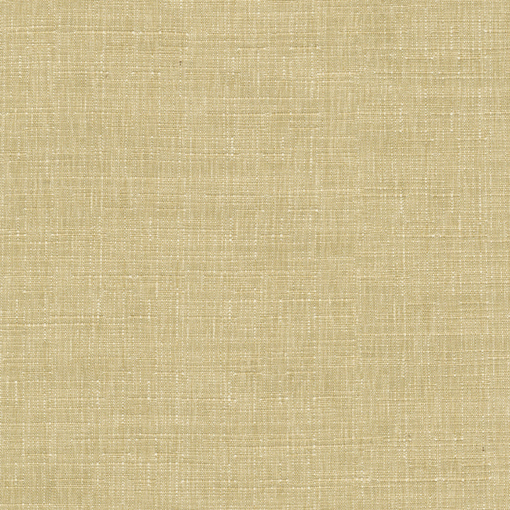 Avalon Wheat 412854 by PKL Studio Fabric 74% cotton, 26% polyester India 51000 Horizontal: 0 and Vertical: 0 54 - Fabric Carolina -