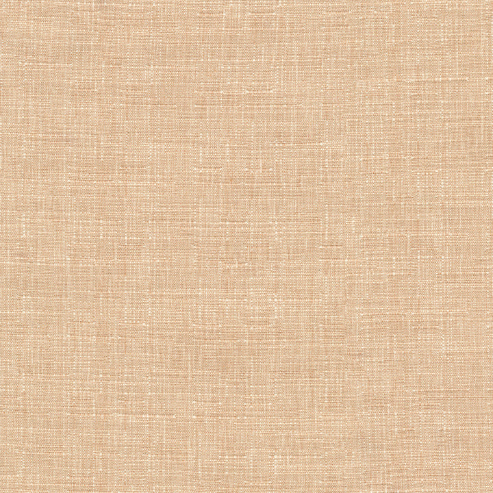 Avalon Cameo 412855 by PKL Studio Fabric 74% cotton, 26% polyester India 51000 Horizontal: 0 and Vertical: 0 54 - Fabric Carolina -