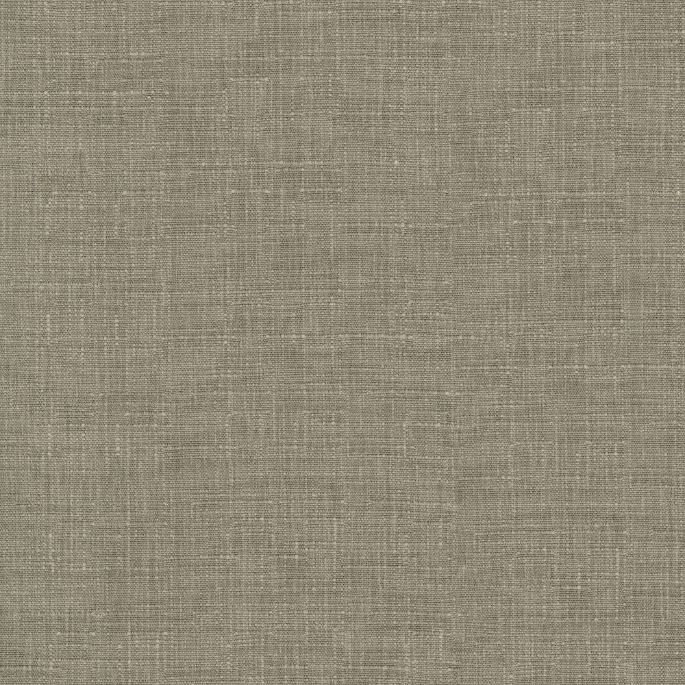 Avalon Mushroom 412857 by PKL Studio Fabric 74% cotton, 26% polyester India 51000 Horizontal: 0 and Vertical: 0 54 - Fabric Carolina -