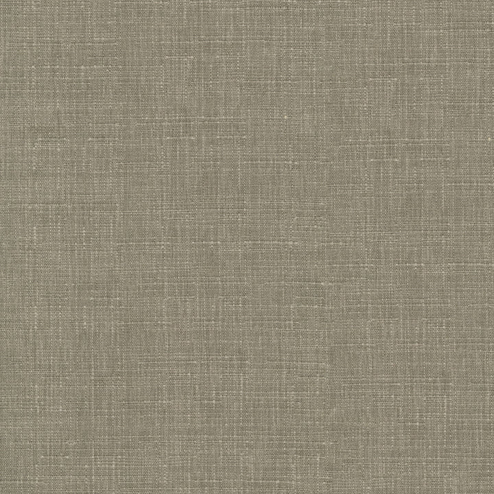 Avalon Mushroom 412857 by PKL Studio Fabric 74% cotton, 26% polyester India 51000 Horizontal: 0 and Vertical: 0 54 - Fabric Carolina -