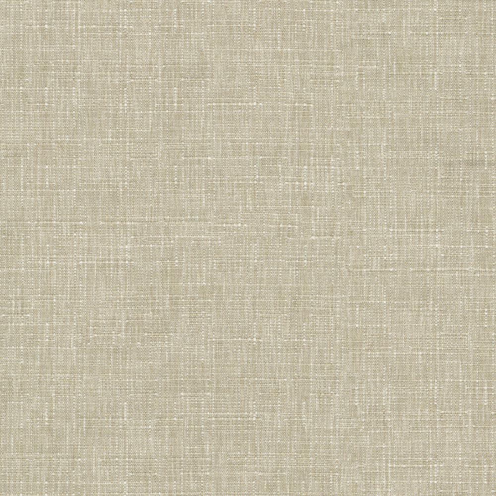 Avalon Taupe 412858 by PKL Studio Fabric 74% cotton, 26% polyester India 51000 Horizontal: 0 and Vertical: 0 54 - Fabric Carolina -