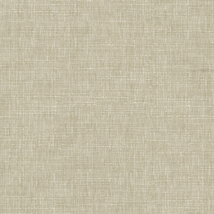 Avalon Taupe 412858 by PKL Studio Fabric 74% cotton, 26% polyester India 51000 Horizontal: 0 and Vertical: 0 54 - Fabric Carolina -