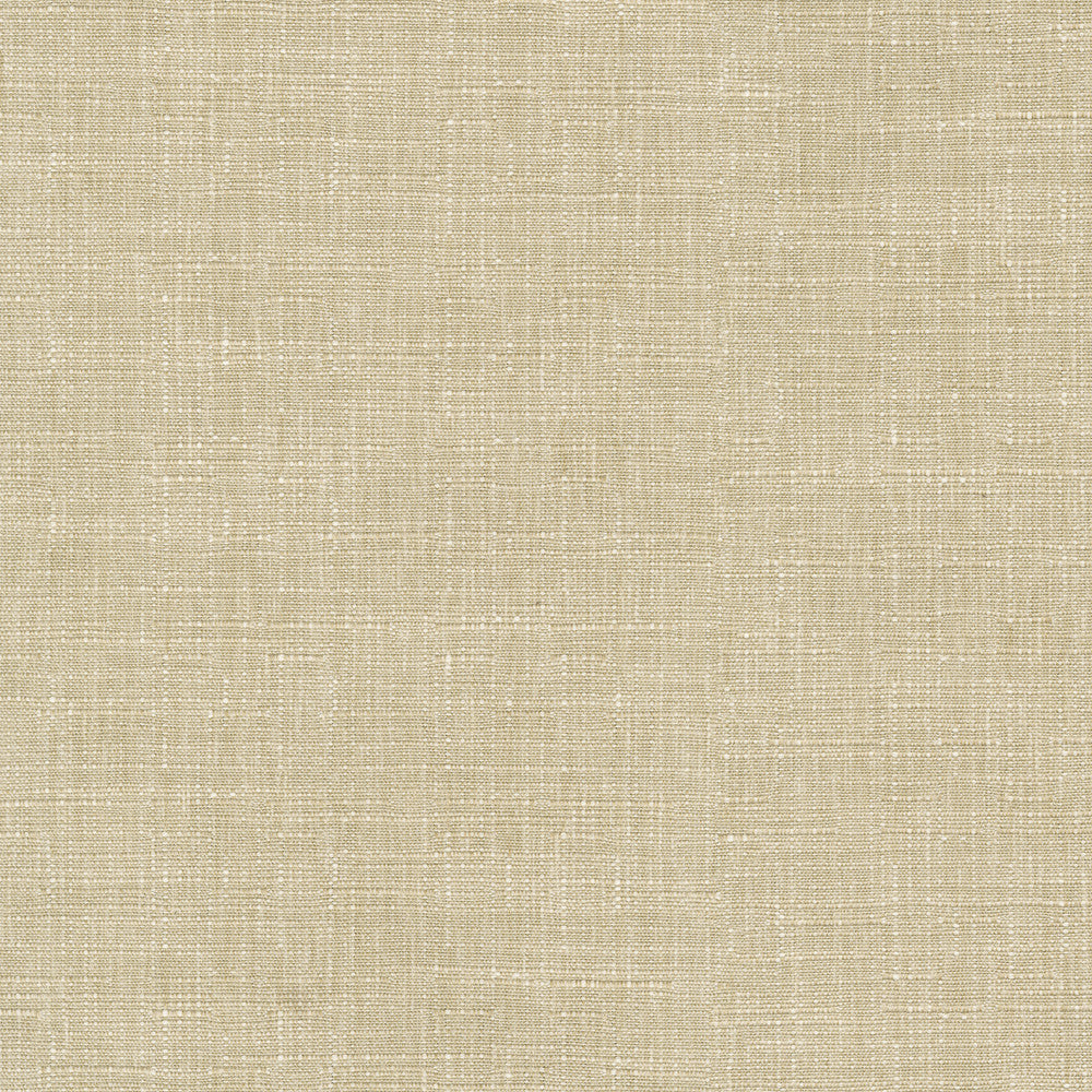 Avalon Oat 412859 by PKL Studio Fabric 74% cotton, 26% polyester India 51000 Horizontal: 0 and Vertical: 0 54 - Fabric Carolina -