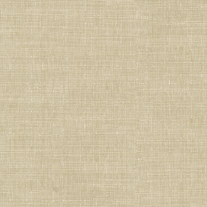 Avalon Oat 412859 by PKL Studio Fabric 74% cotton, 26% polyester India 51000 Horizontal: 0 and Vertical: 0 54 - Fabric Carolina -