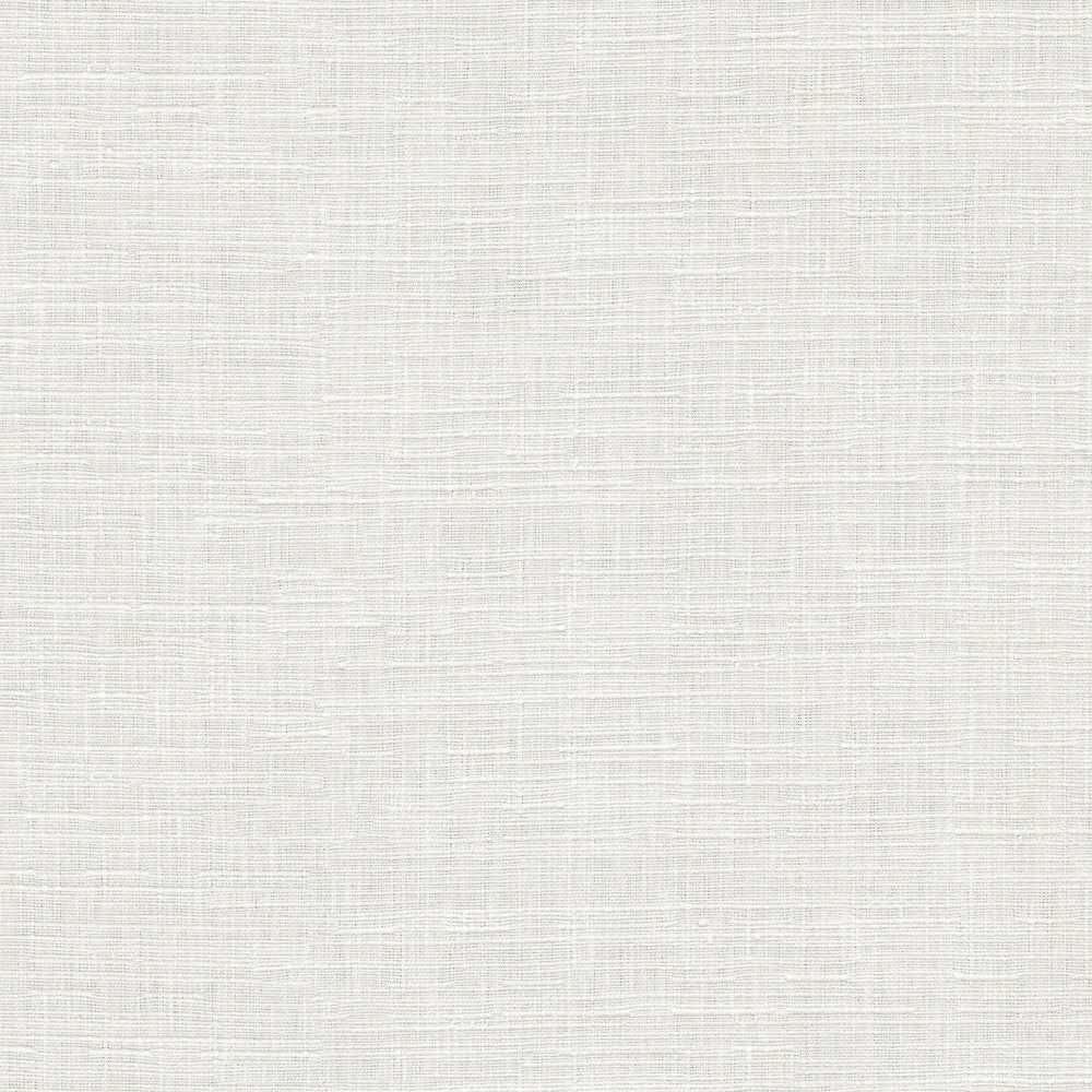 Avalon White 412861 by PKL Studio Fabric 74% cotton, 26% polyester India 51000 Horizontal: 0 and Vertical: 0 54 - Fabric Carolina -