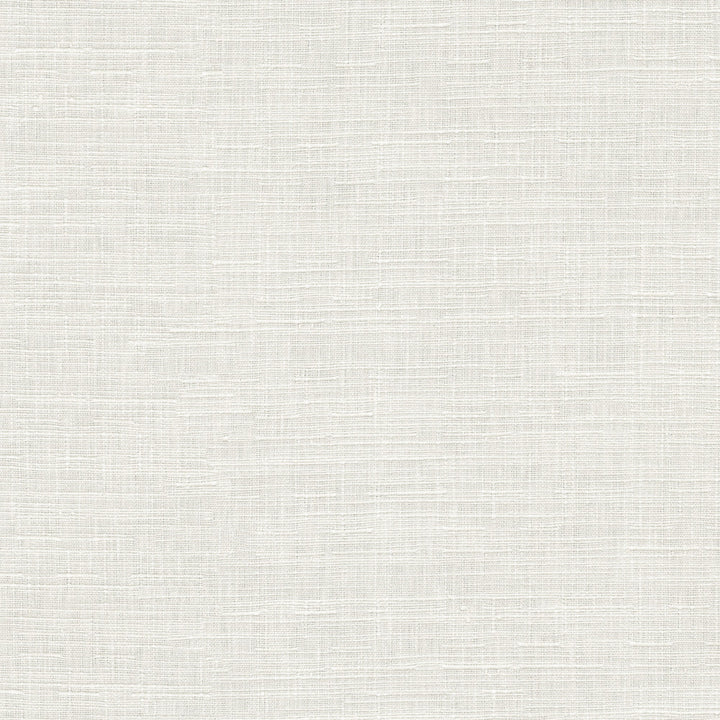 Avalon White 412861 by PKL Studio Fabric 74% cotton, 26% polyester India 51000 Horizontal: 0 and Vertical: 0 54 - Fabric Carolina -