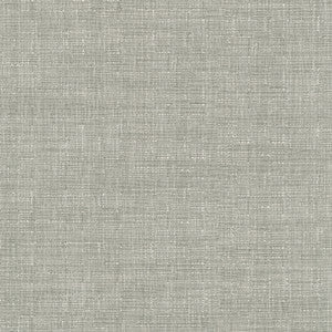 Avalon Sterling 412862 By PKL Studio Fabric