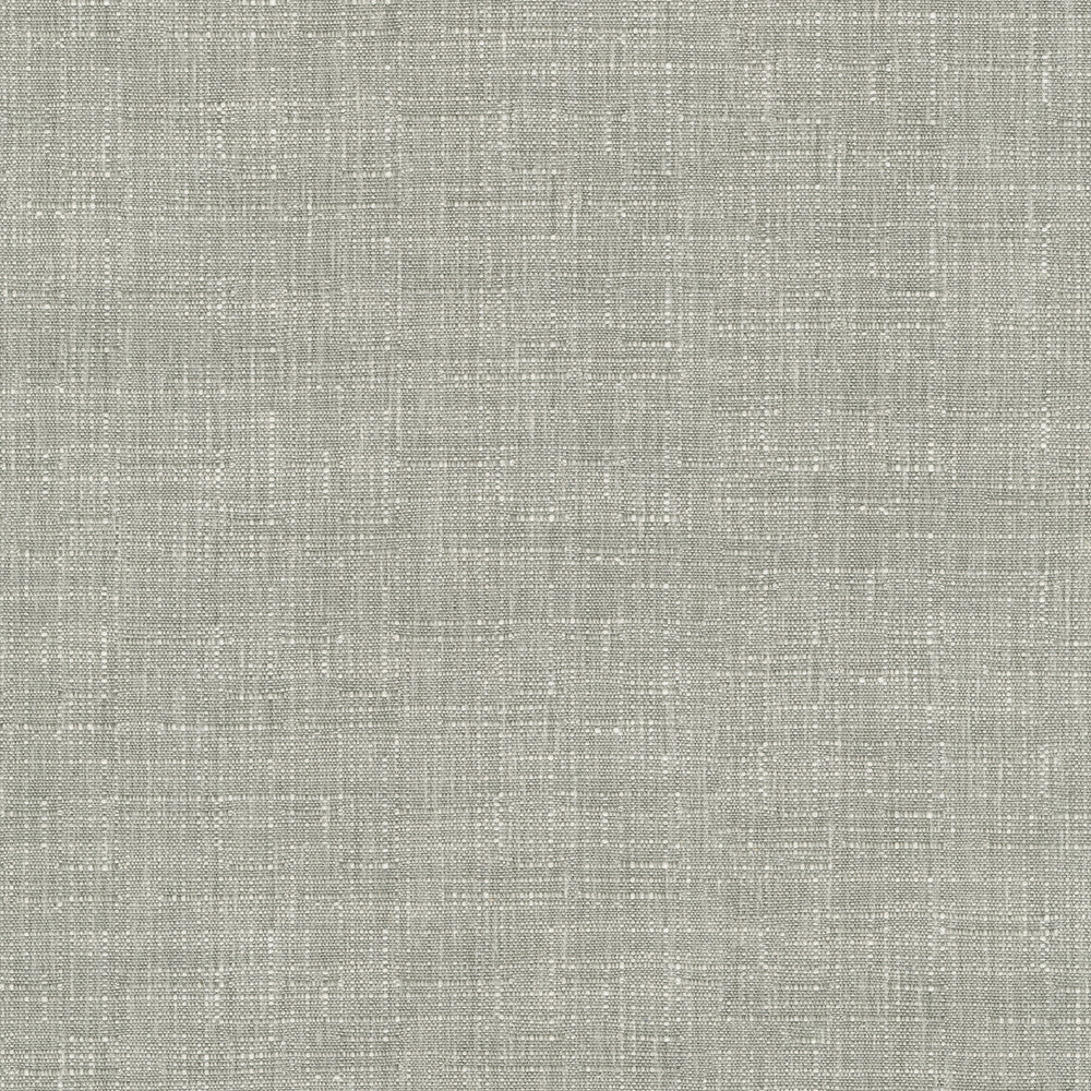 Avalon Sterling 412862 by PKL Studio Fabric 74% cotton, 26% polyester India 51000 Horizontal: 0 and Vertical: 0 54 - Fabric Carolina -