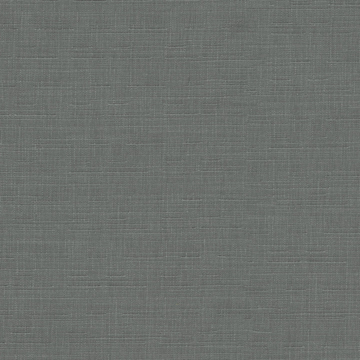 Avalon Steel 412863 by PKL Studio Fabric 74% cotton, 26% polyester India 51000 Horizontal: 0 and Vertical: 0 54 - Fabric Carolina -
