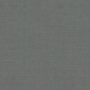 Avalon Steel 412863 by PKL Studio Fabric