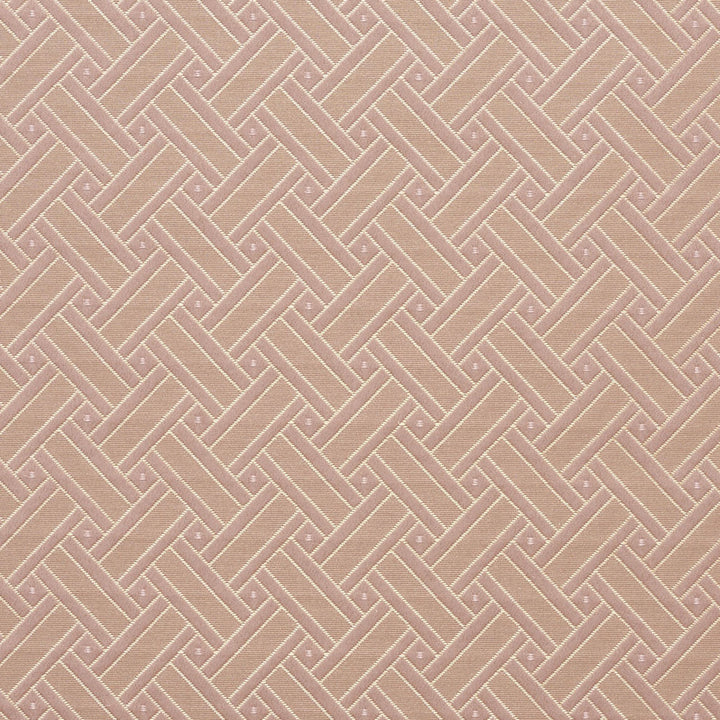 4130 Primrose Lattice by Charlotte Fabric Timeless Treasures II 100% Woven Polyester Asia Exceeds 100,000 Wyzenbeek Rubs (Heavy Duty) Horizontal: 2" x Vertical: 2" 54 Inches - Fabric Carolina -