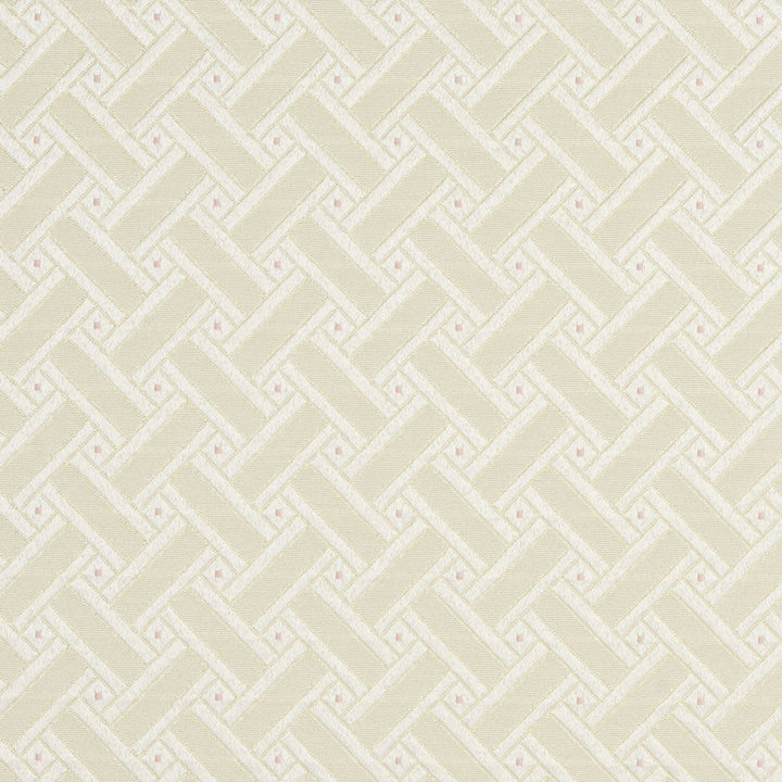 4133 Rose Lattice by Charlotte Fabric Timeless Treasures II 100% Woven Polyester Asia Exceeds 100,000 Wyzenbeek Rubs (Heavy Duty) Horizontal: 2" x Vertical: 2" 54 Inches - Fabric Carolina -