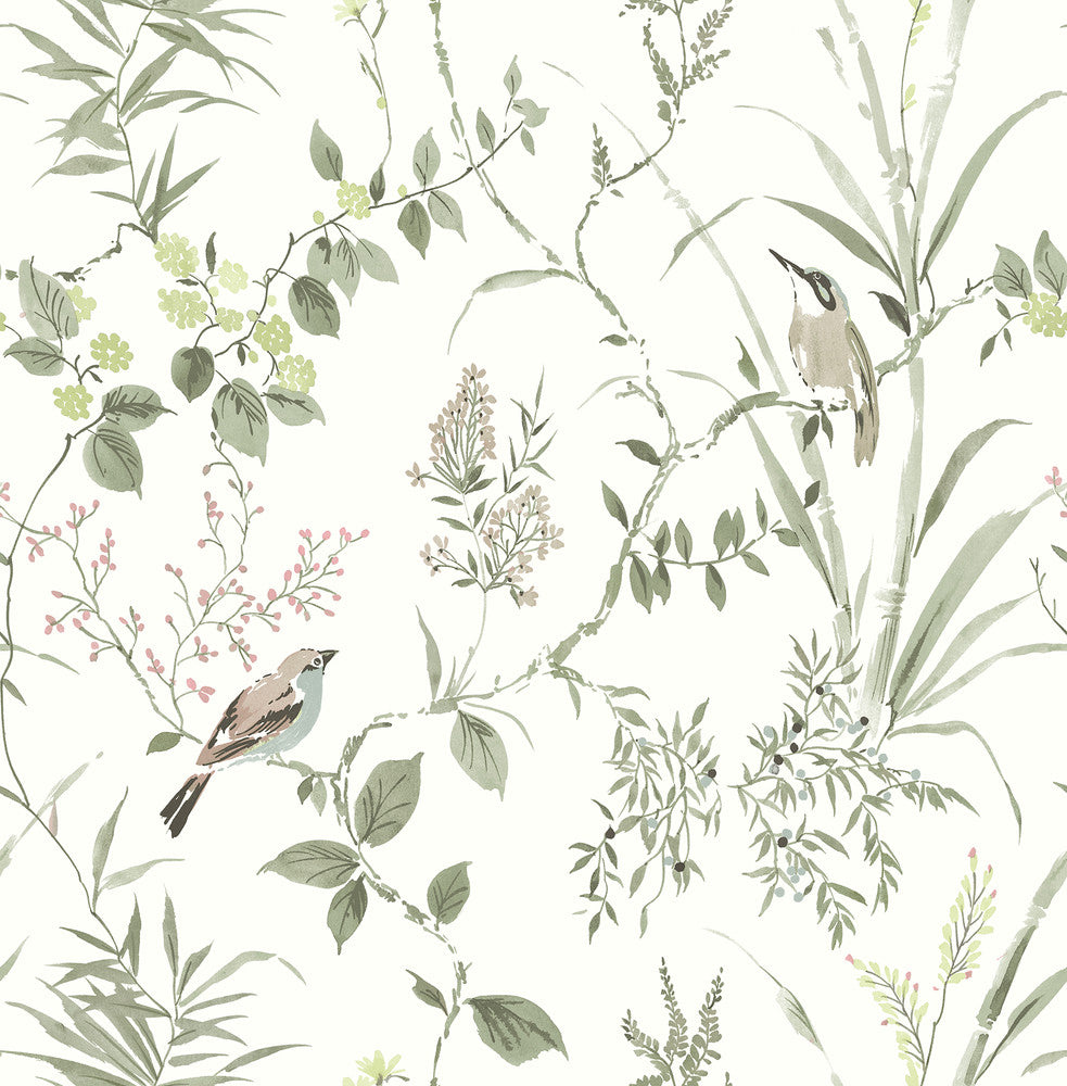 Imperial Garden Moss Botanical Wallpaper by Chesapeake Wildflower Covers about 56.4 square feet 20.5-in by 33-ft long roll Unpasted 20.9 - Fabric Carolina -