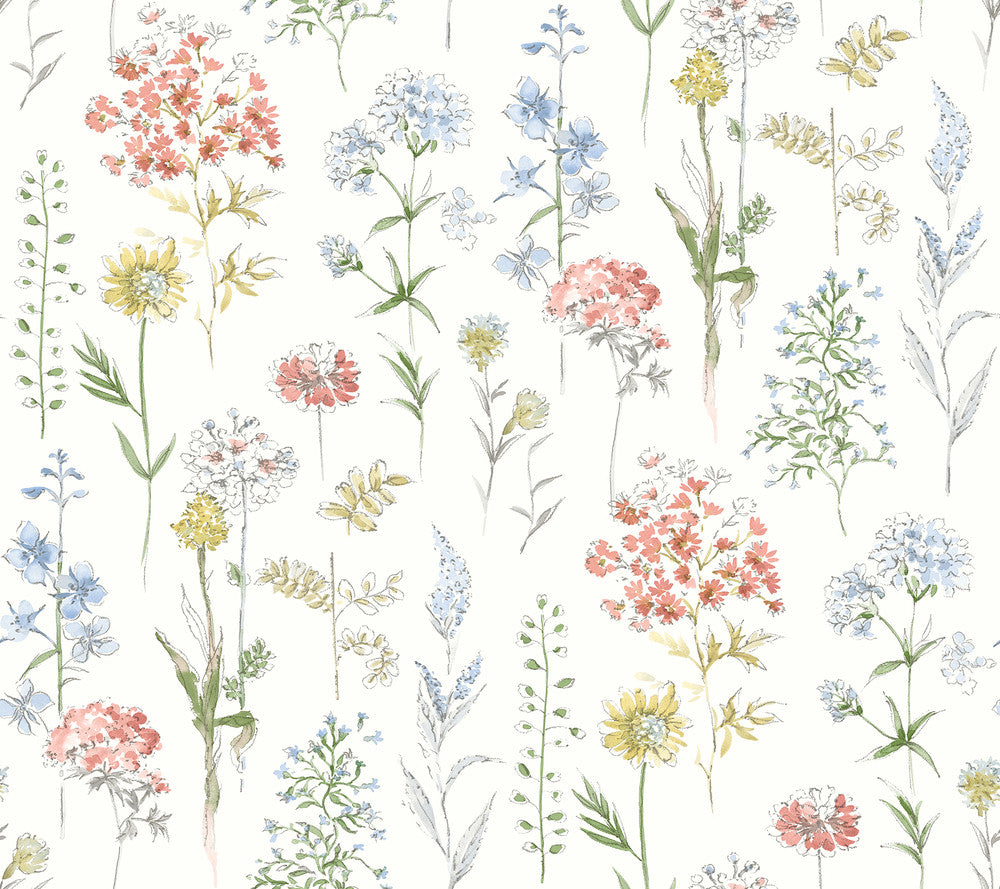 Bergamot Multicolor Wildflower Wallpaper by Chesapeake Wildflower Covers about 60.8 square feet 27-in by 27-ft long roll Prepasted 0 - Fabric Carolina -