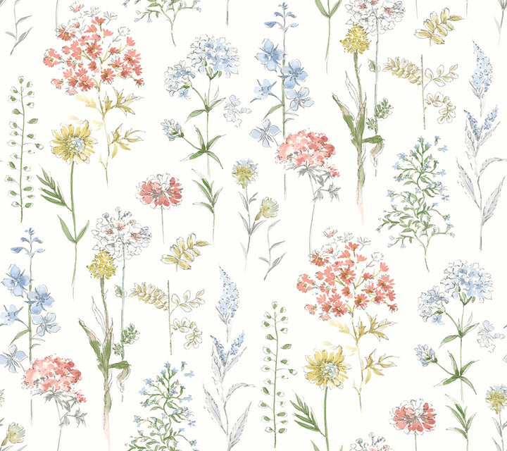 Bergamot Multicolor Wildflower Wallpaper by Chesapeake Wildflower Covers about 60.8 square feet 27-in by 27-ft long roll Prepasted 0 - Fabric Carolina -