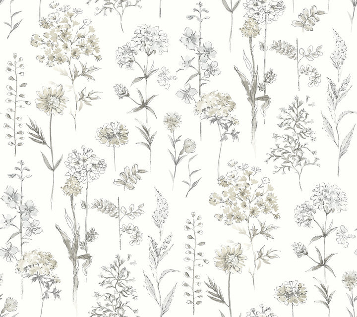 Bergamot Light Grey Wildflower Wallpaper by Chesapeake Wildflower Covers about 60.8 square feet 27-in by 27-ft long roll Prepasted 0 - Fabric Carolina -