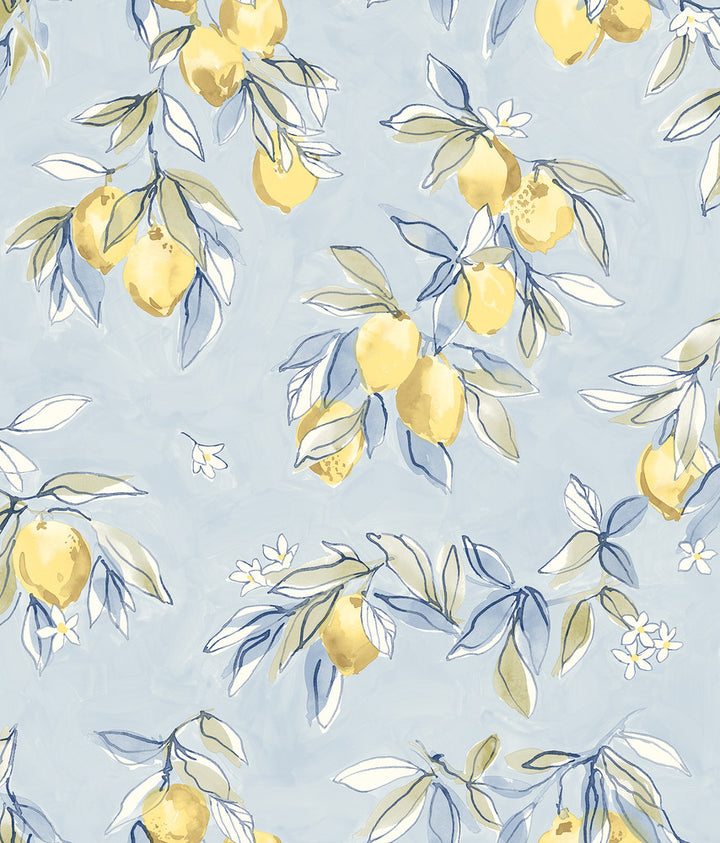 Lemonade Light Blue Citrus Wallpaper by Chesapeake Wildflower Covers about 56.4 square feet 20.5-in by 33-ft long roll Prepasted 24 - Fabric Carolina -