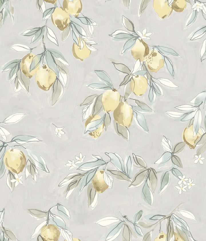 Lemonade Charcoal Citrus Wallpaper by Chesapeake Wildflower Covers about 56.4 square feet United States Prepasted 24-in repeat, half drop match 20.5-in by 33-ft long roll - Fabric Carolina -