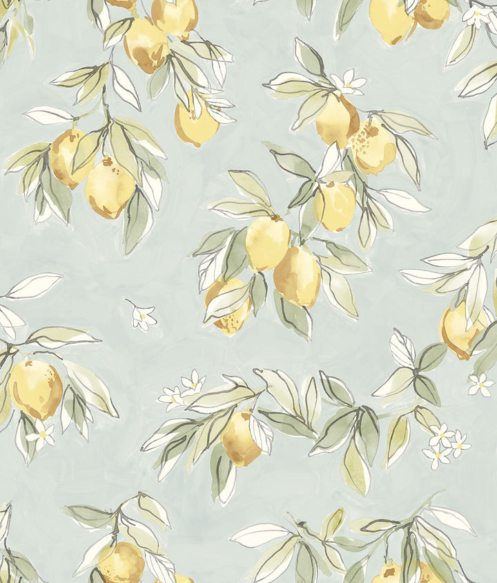 Lemonade Aqua Citrus Wallpaper by Chesapeake Wildflower Covers about 56.4 square feet 20.5-in by 33-ft long roll Prepasted 24 - Fabric Carolina -