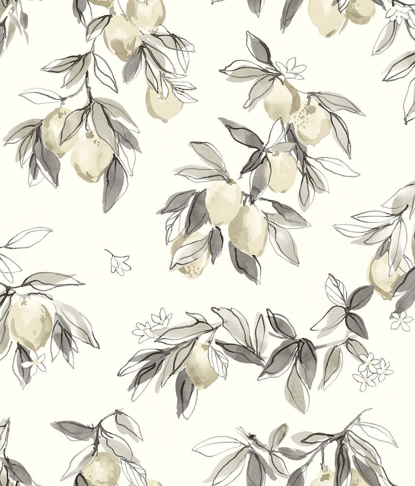 Lemonade Grey Citrus Wallpaper by Chesapeake Wildflower Covers about 56.4 square feet United States Prepasted 24-in repeat, half drop match 20.5-in by 33-ft long roll - Fabric Carolina -