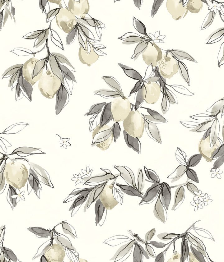 Lemonade Grey Citrus Wallpaper by Chesapeake Wildflower Covers about 56.4 square feet United States Prepasted 24-in repeat, half drop match 20.5-in by 33-ft long roll - Fabric Carolina -