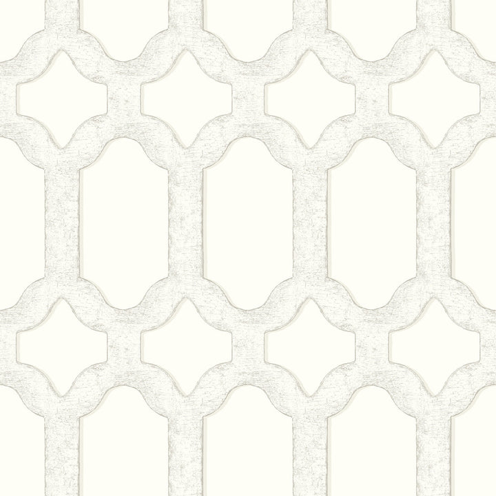 Chervil White Trellis Wallpaper by Chesapeake Wildflower Covers about 56.4 square feet 20.5-in by 33-ft long roll Prepasted 20.5 - Fabric Carolina -
