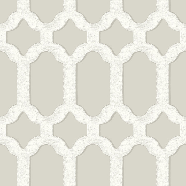 Chervil Light Grey Trellis Wallpaper by Chesapeake Wildflower Covers about 56.4 square feet 20.5-in by 33-ft long roll Prepasted 20.5 - Fabric Carolina -