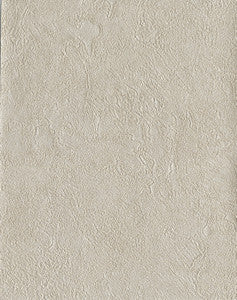 Radiator Pewter Plaster Texture Wallpaper by Warner