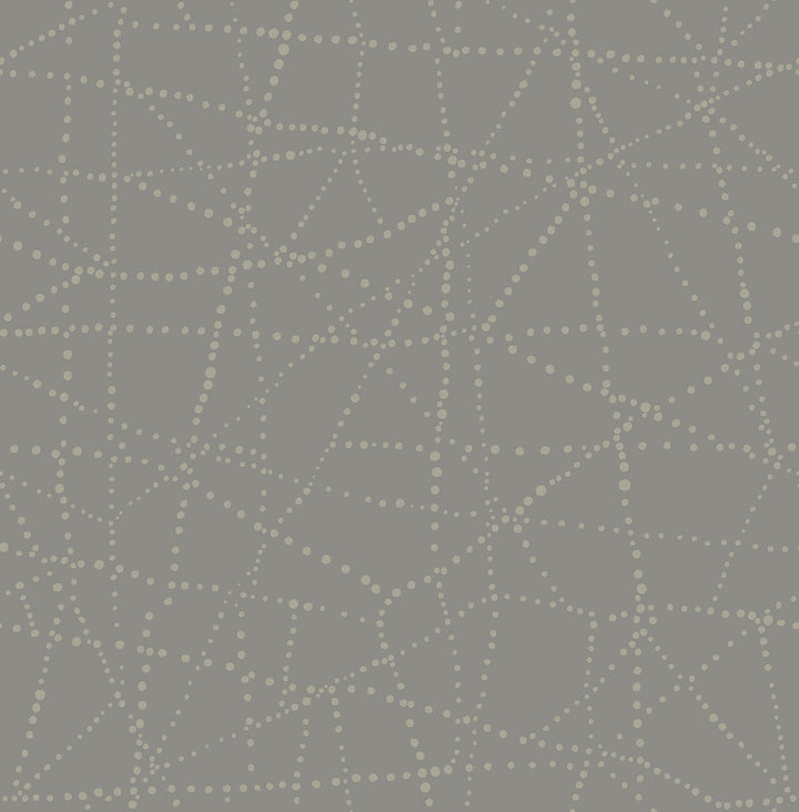 Alcott Charcoal Dotted Wallpaper by A-Street Prints Solace Covers about 56.4 square feet 20.5-in by 33-ft long roll Unpasted 20.86 - Fabric Carolina -