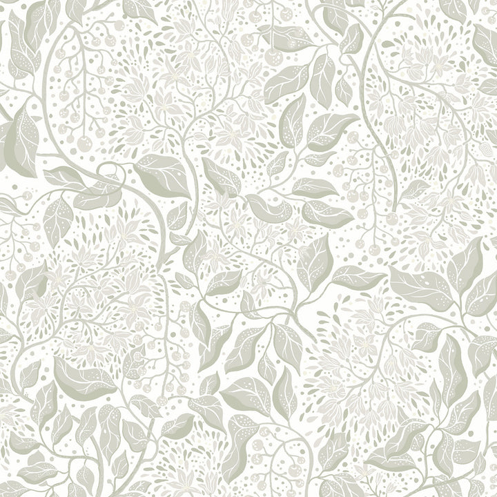 Turi Sage Twining Vines Wallpaper by A-Street Prints Botanica Covers about 57.5 square feet 20.9-in by 33-ft long roll Unpasted 20.9 - Fabric Carolina -