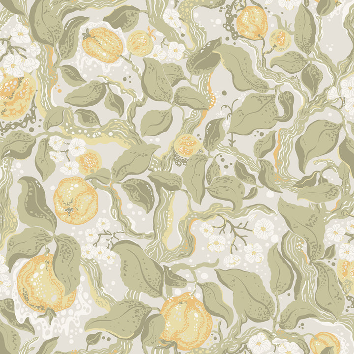 Kort Sage Fruit and Floral Wallpaper by A-Street Prints Botanica Covers about 57.5 square feet 20.9-in by 33-ft long roll Unpasted 20.9 - Fabric Carolina -