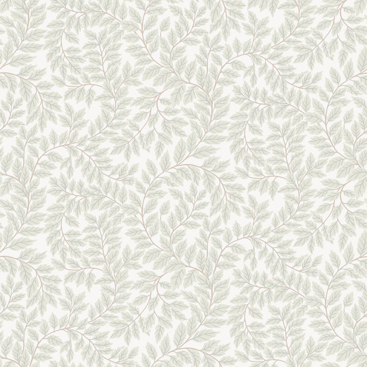 Lindlöv Light Grey Leafy Vines Wallpaper by A-Street Prints Botanica Covers about 57.5 square feet 20.9-in by 33-ft long roll Unpasted 20.9 - Fabric Carolina -