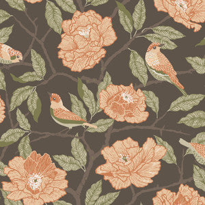 Bernadina Black Rosebush Wallpaper by A-Street Prints