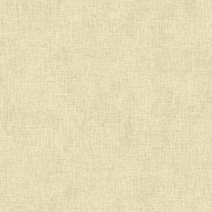 Buxton Taupe Faux Weave Wallpaper by Advantage Perfect Plains Covers about 57.5 square feet 20.9-in by 33-ft long roll Unpasted 0 - Fabric Carolina -