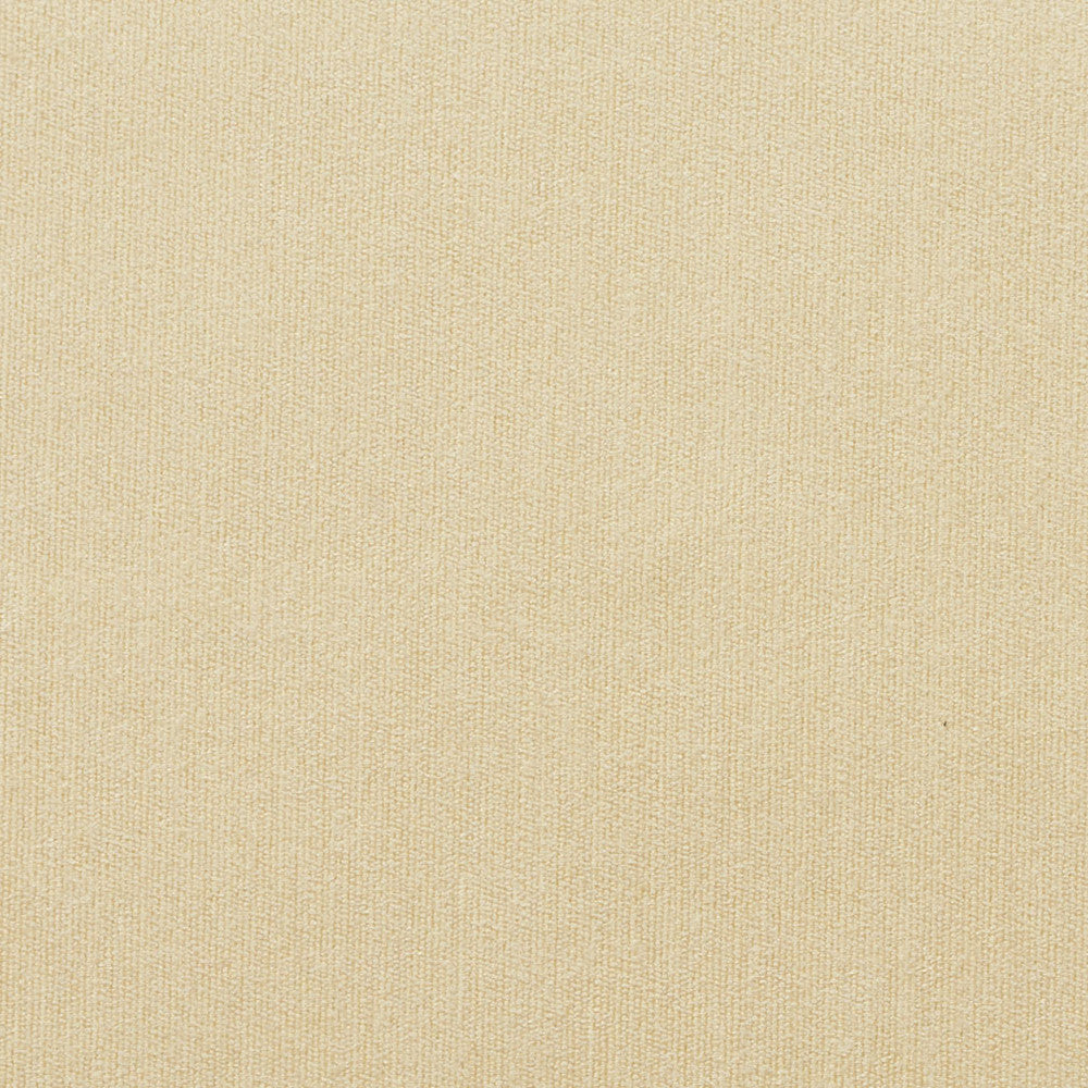 4148 Champagne by Charlotte Fabric Timeless Treasures II 50% Rayon, 25% Cotton, 25% Polyester Asia Exceeds 100,000 Wyzenbeek Rubs (Heavy Duty) No Repeat 54 Inches - Fabric Carolina -