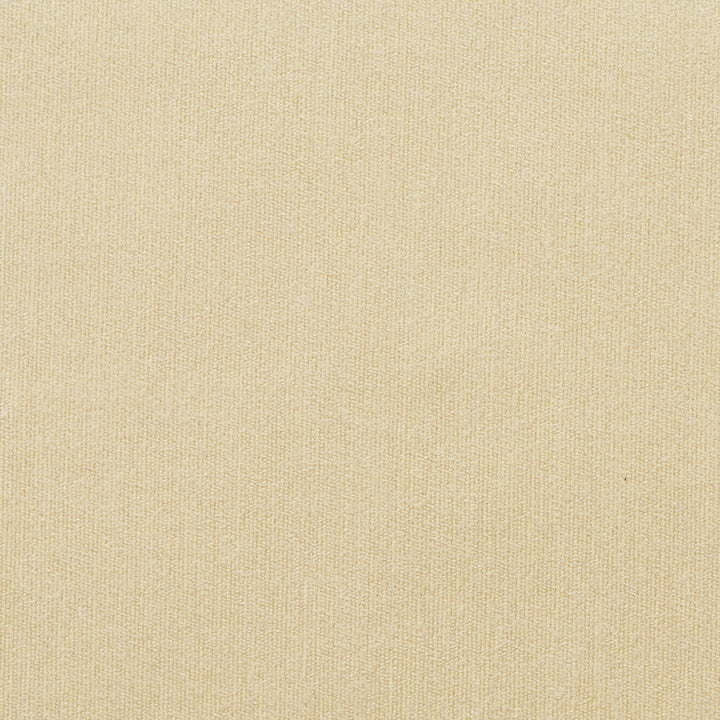 4148 Champagne by Charlotte Fabric Timeless Treasures II 50% Rayon, 25% Cotton, 25% Polyester Asia Exceeds 100,000 Wyzenbeek Rubs (Heavy Duty) No Repeat 54 Inches - Fabric Carolina -