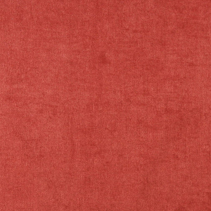 4149 Persimmon by Charlotte Fabric Timeless Treasures II 50% Rayon, 25% Cotton, 25% Polyester Asia Exceeds 100,000 Wyzenbeek Rubs (Heavy Duty) No Repeat 54 Inches - Fabric Carolina -