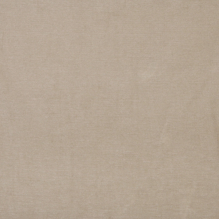 4150 Ivory by Charlotte Fabric Timeless Treasures II 50% Rayon, 25% Cotton, 25% Polyester Asia Exceeds 100,000 Wyzenbeek Rubs (Heavy Duty) </p><p>Repeat: 54 Inches - Fabric Carolina -