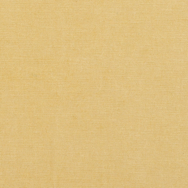 4152 Flax by Charlotte Fabric Timeless Treasures II 50% Rayon, 25% Cotton, 25% Polyester Asia Exceeds 100,000 Wyzenbeek Rubs (Heavy Duty) No Repeat 54 Inches - Fabric Carolina -